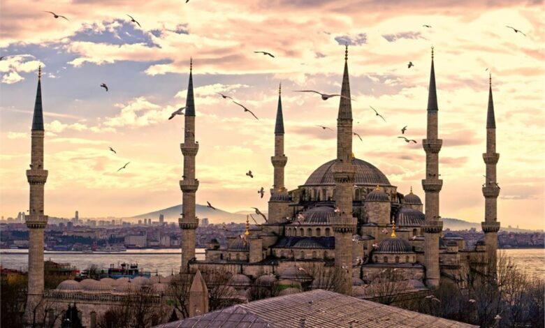Zeytin İle İlgili Ayetler Nelerdir?