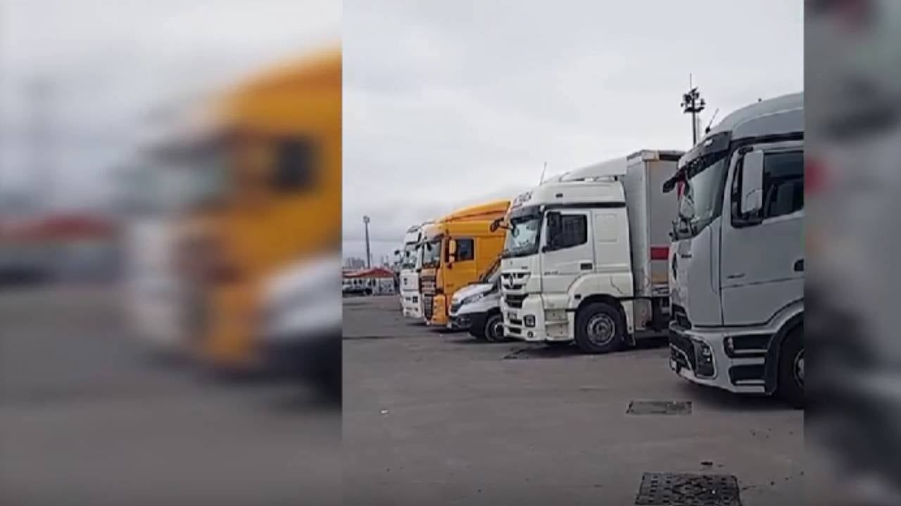 Kokarca böceği nedeniyle 95 TIR şoförü limanda bekletiliyor Kokarca böceği nedeniyle 95 TIR şoförü limanda bekletiliyor