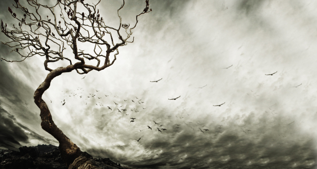 Çirkin Alışkanlıkları Terk Etmenin Yolları Çirkin Alışkanlıkları Terk Etmenin Yolları