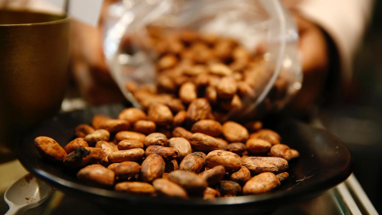 Kakao, erkeklerin damar sağlığını koruyabilir Kakao, erkeklerin damar sağlığını koruyabilir