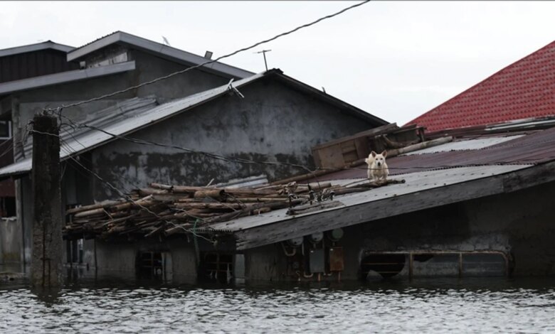 Vietnam’da Bualoi Tayfunu Sonucu 12 Kişi Hayatını Kaybetti Vietnam’da Bualoi Tayfunu Sonucu 12 Kişi Hayatını Kaybetti