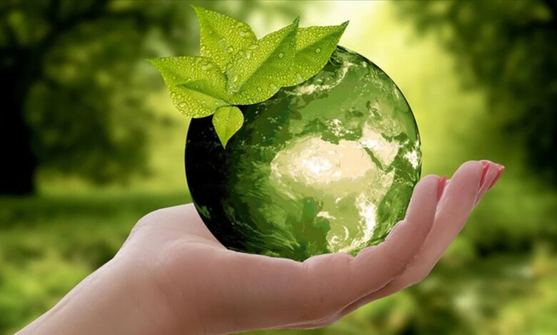 Sıfır Atık Vakfı ve MEB’den Uluslararası Sürdürülebilirlik