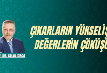 Çıkarların Yükselişi, Değerlerin Çöküşü Üzerine